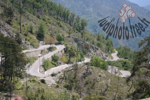 le décor du rallye